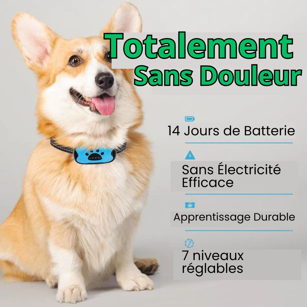 Collier anti-aboiement pour chien